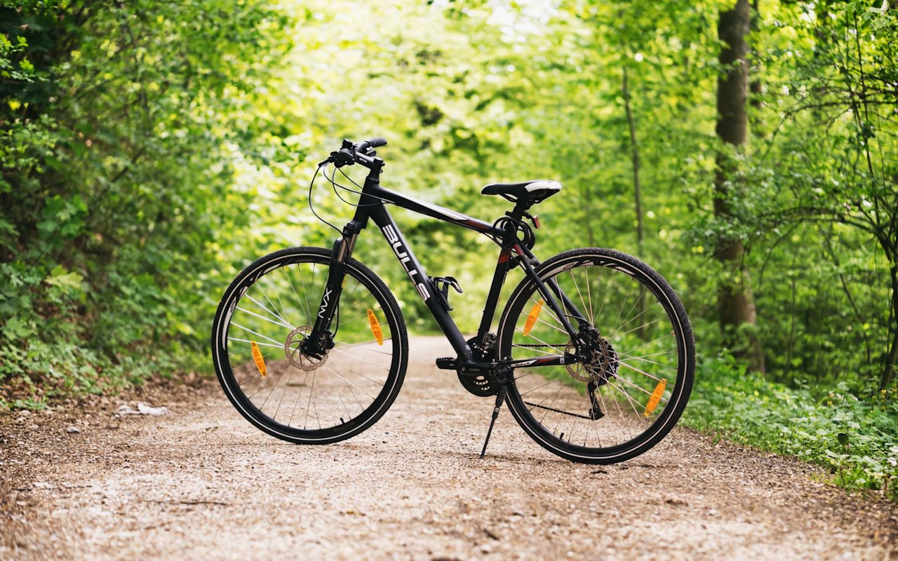 Biking Through Ketchum: The Best Trails and Routes for All Levels