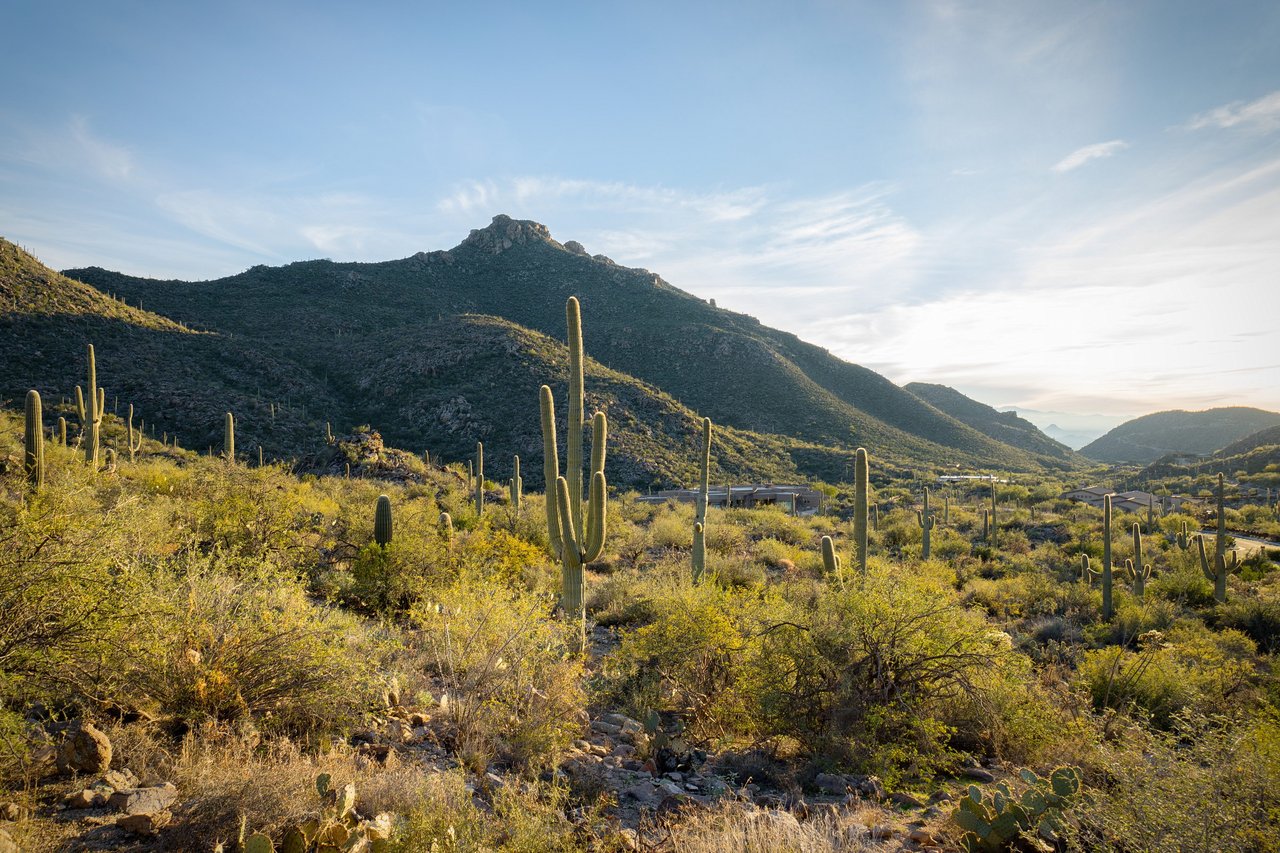 A Desert Oasis Within An Exclusive Gated Community 