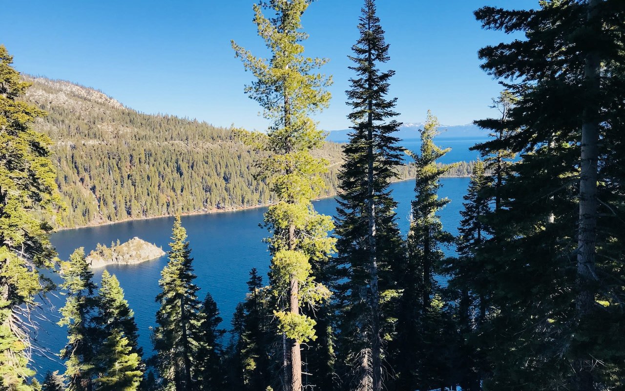 Tahoe Luxury Real Estate Market Ends 2020 With Record Growth