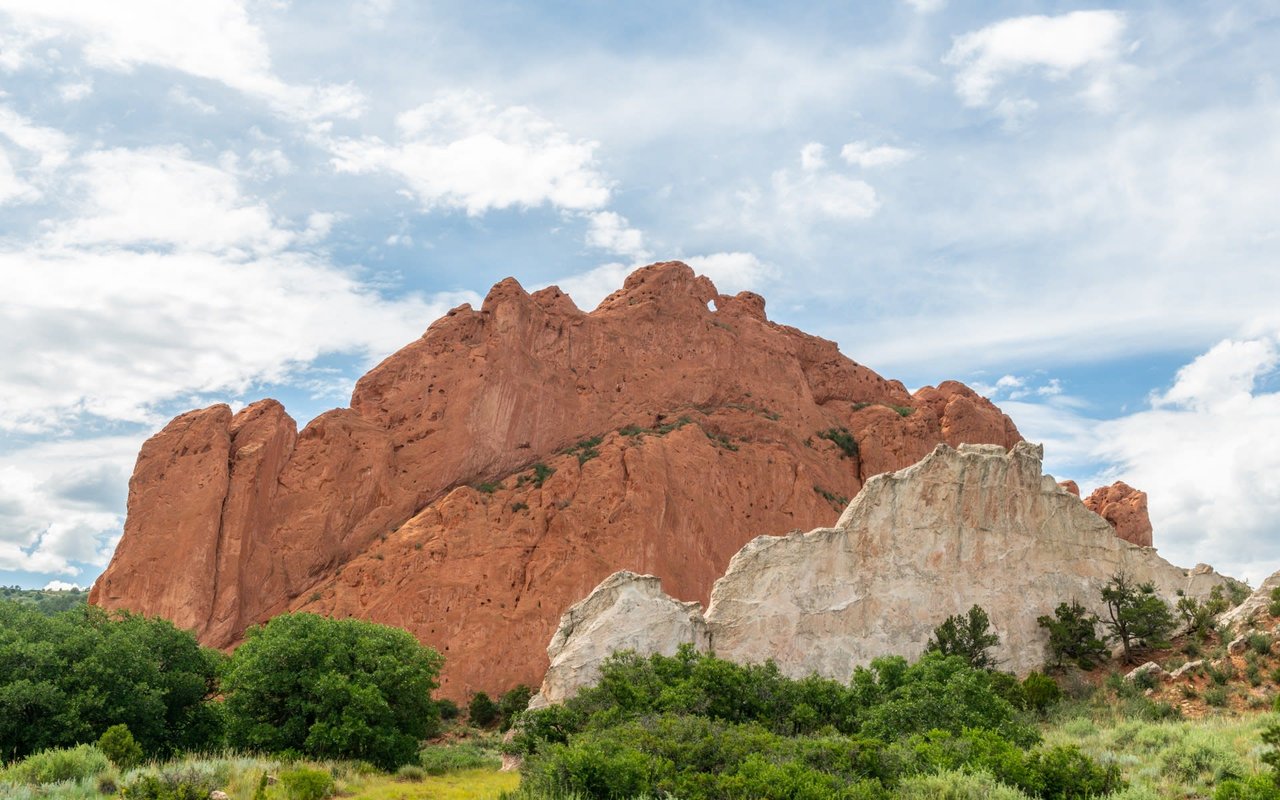 Kissing Camels