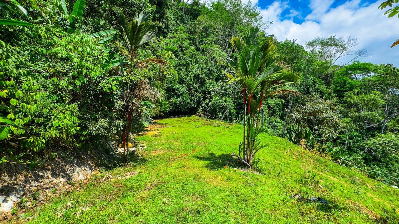 Ocean View Jungle Homesite, Ojochal, Puntarenas