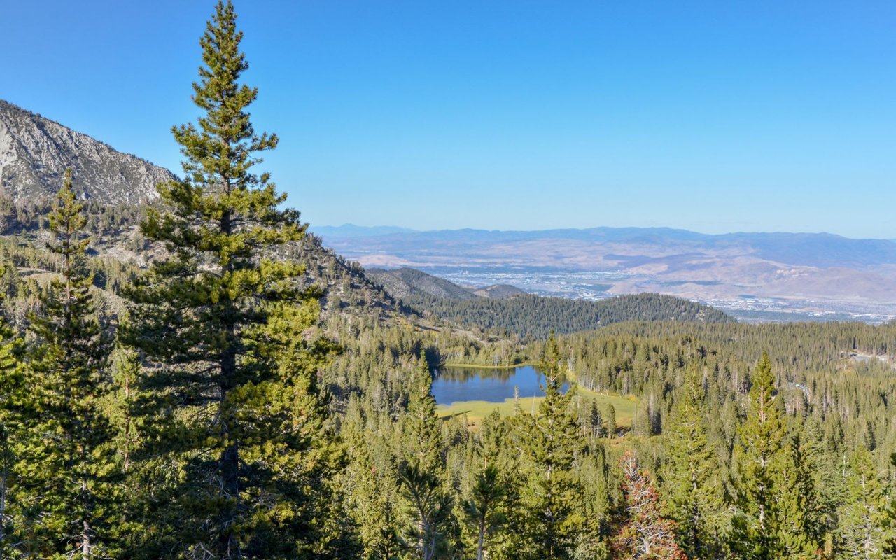 PONDEROSA PALISADES