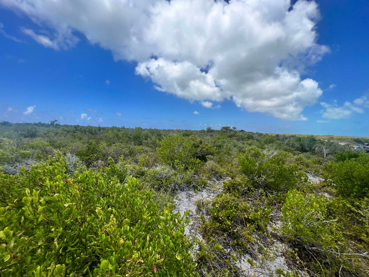 784 .509 Acres at West End, Anegada