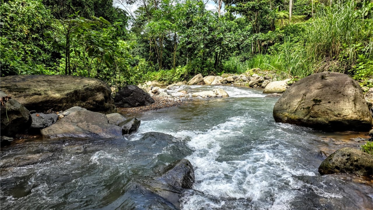 Rainforest Waterfall Acreage Estate, Dominical, Puntarenas