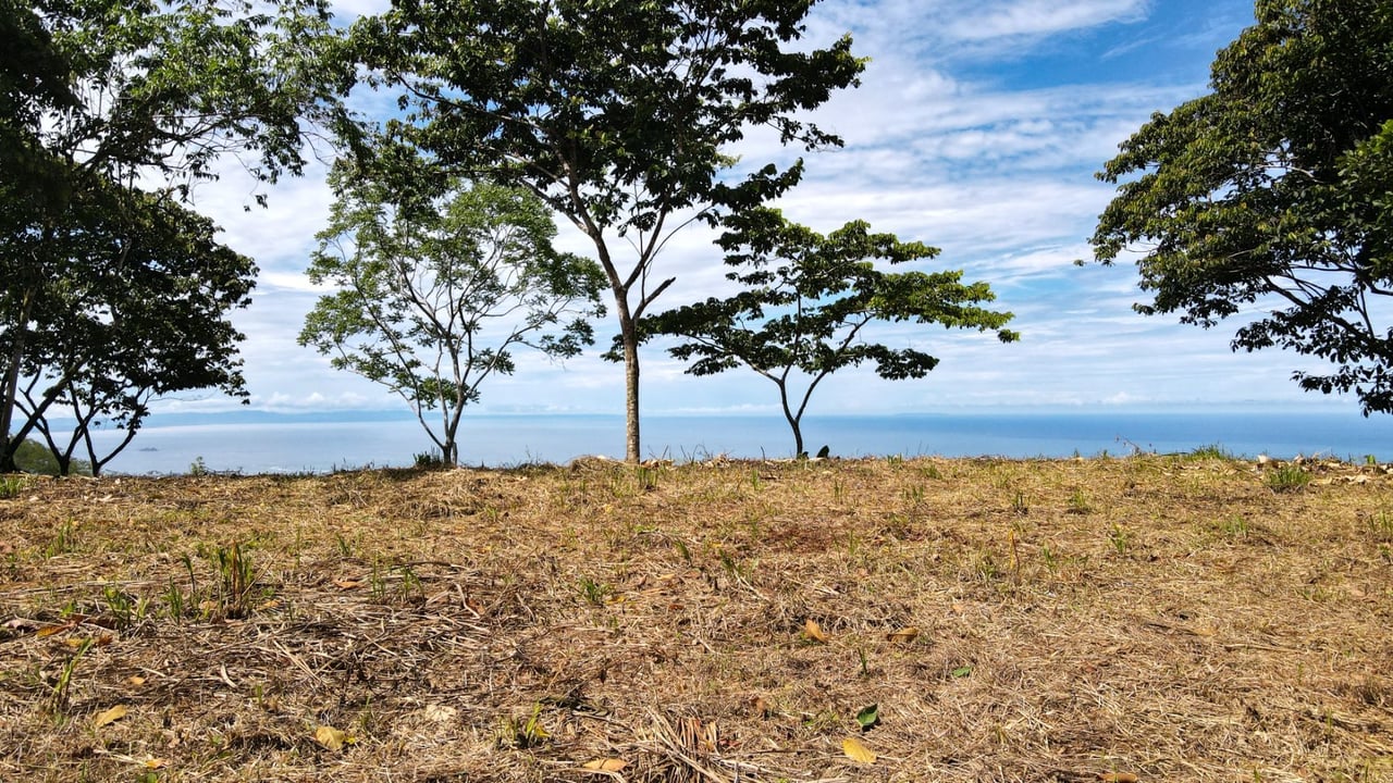 Panoramic Ocean View Lot, Dominical, Puntarenas
