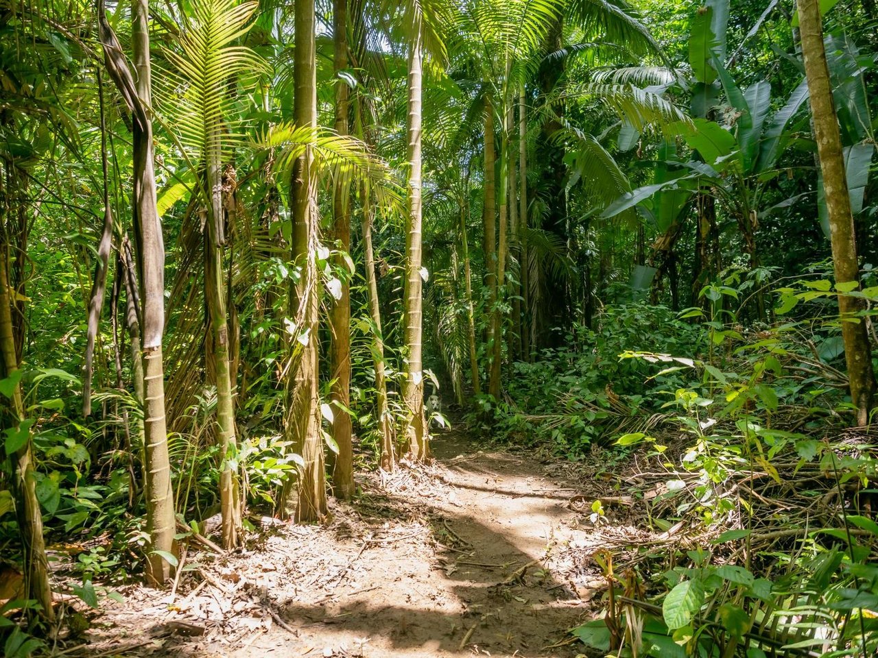 Riverfront Development Land, Ojochal, Puntarenas
