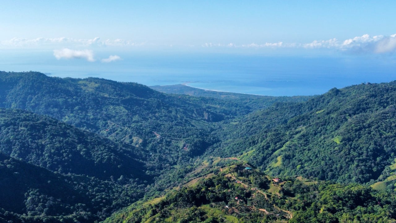 Whales Tail and Ocean View Farm, Over 39 acres