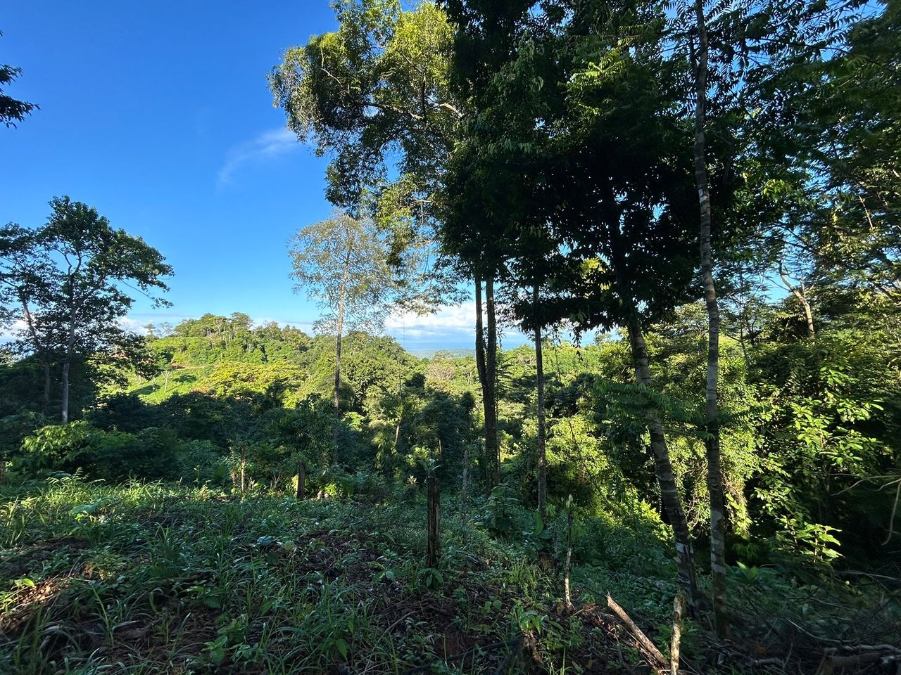 Marvelous Ocean View Parcel in Uvita.