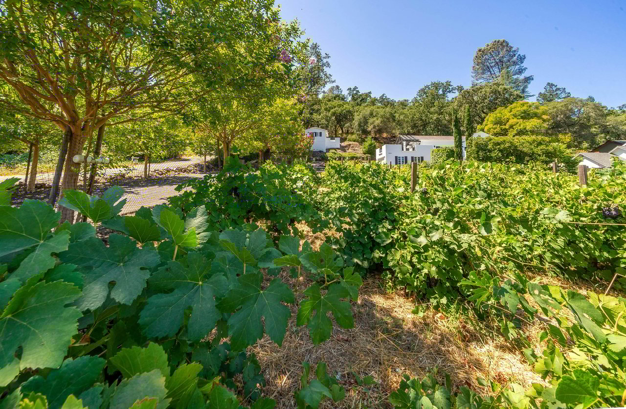 Tuscan Country Estate - SOLD
