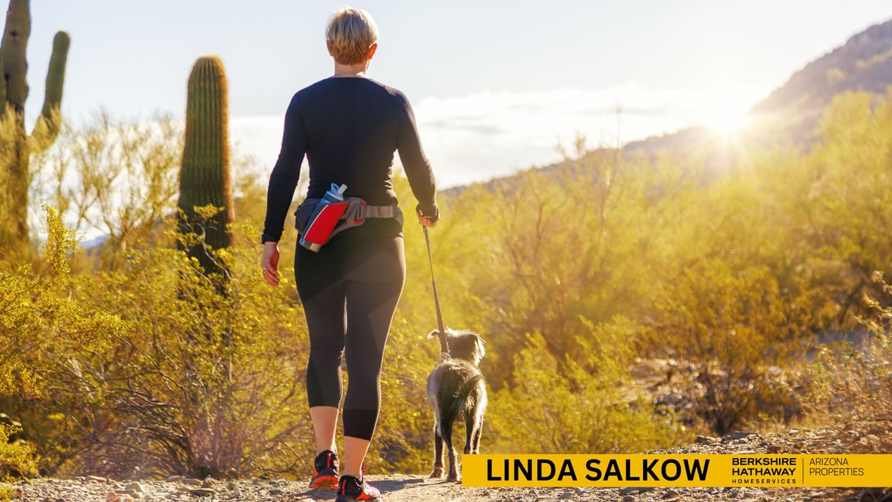 Explore the Real Estate Perks of Desert Mountain