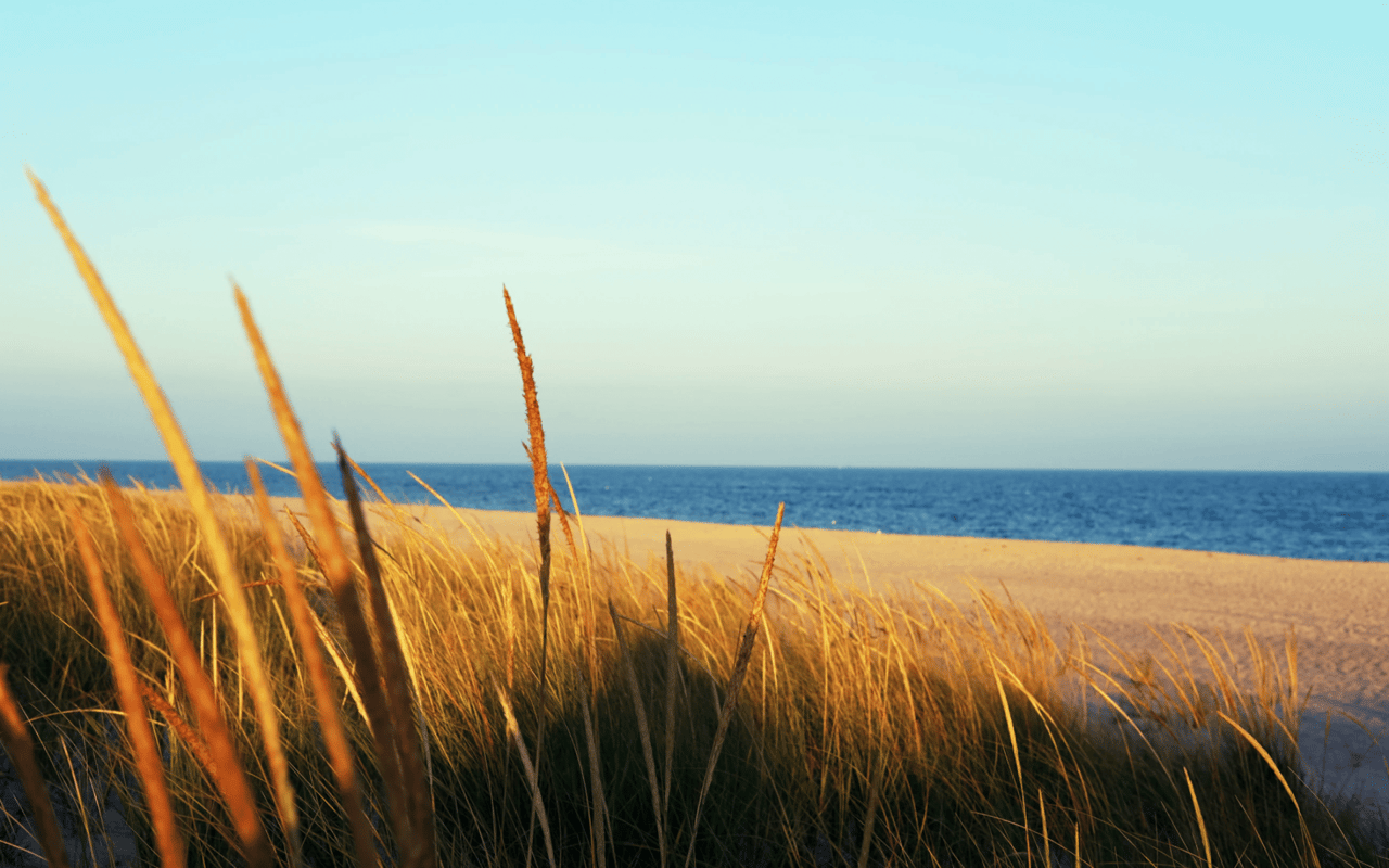 Hidden Gems in the Hamptons