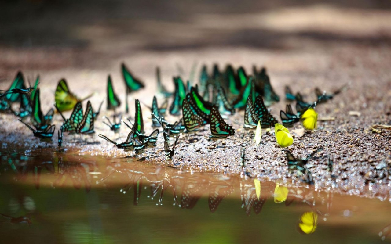 A Guide to Palm Beach Parks