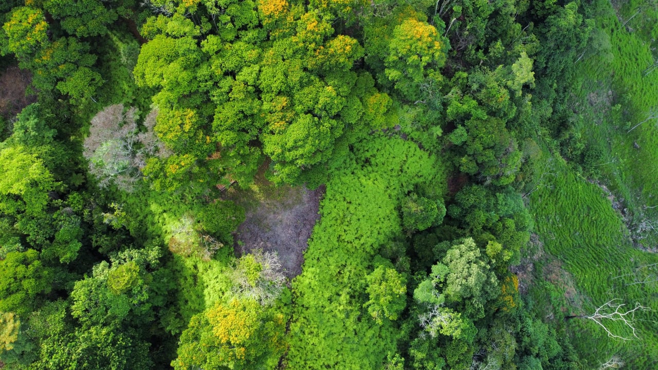 Ocean View Lot in the Exclusive Uvita Mountains. 