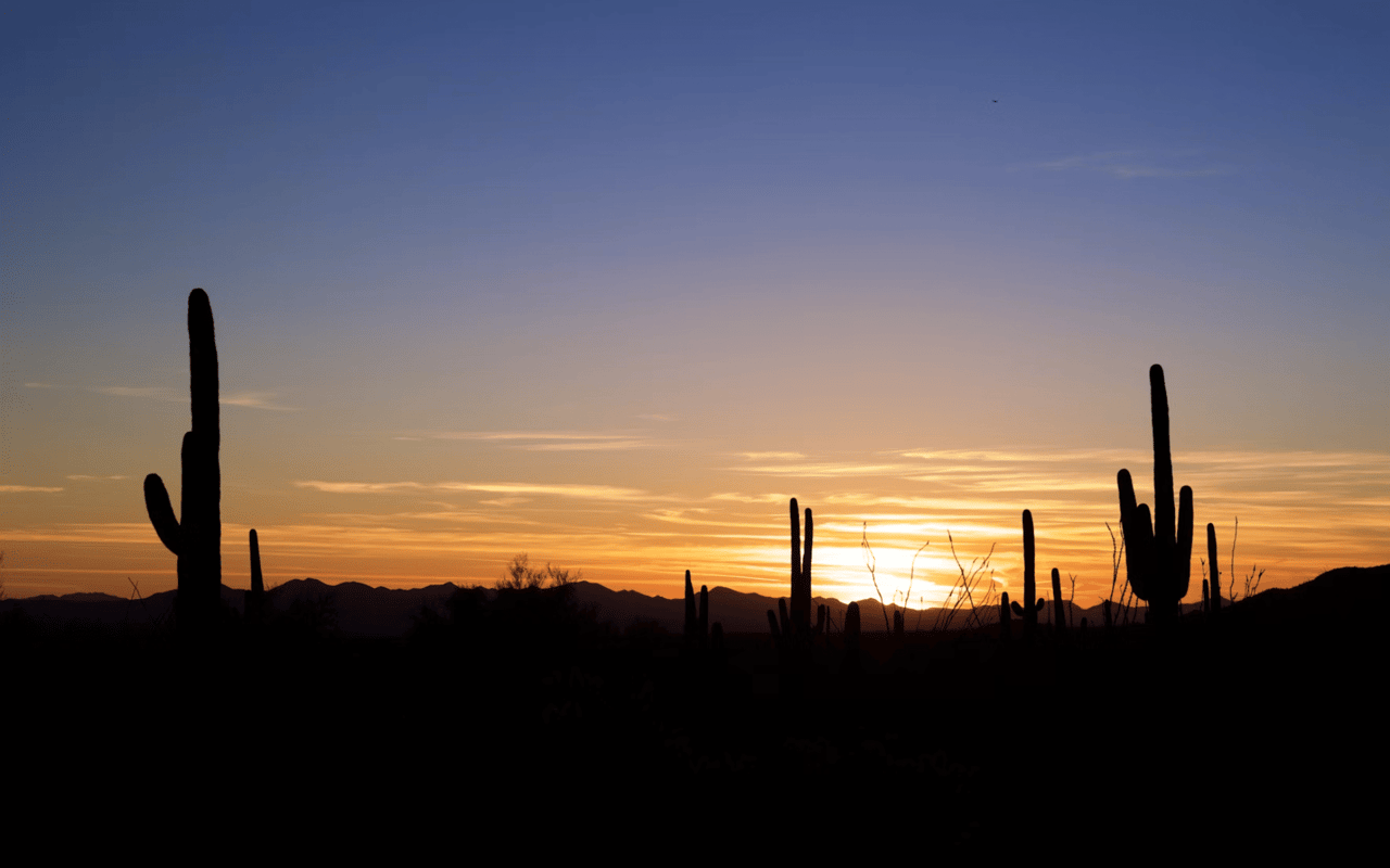 Day Trips From Tucson, AZ