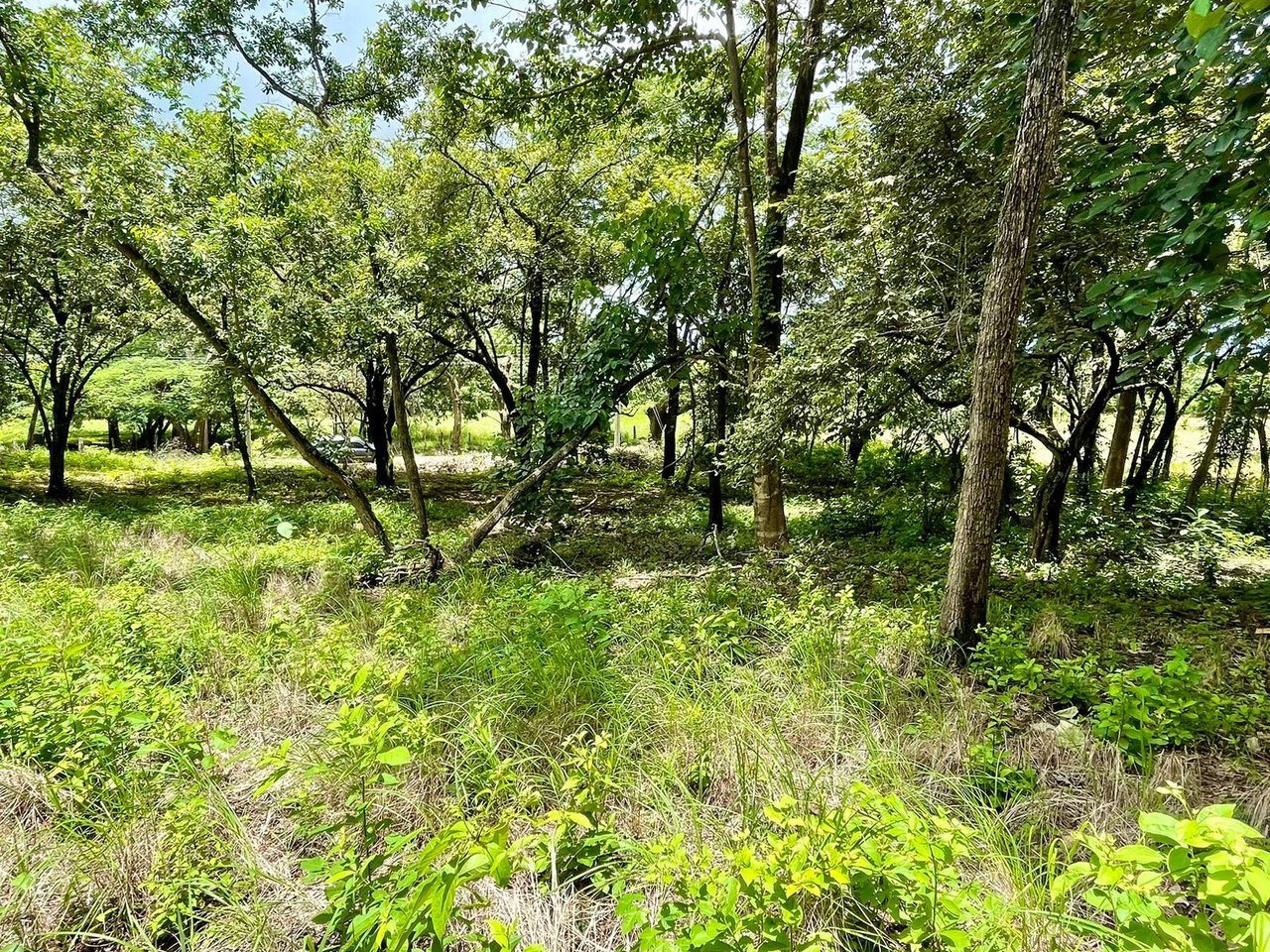 Private Tropical Building Lot, Tamarindo, Guanacaste