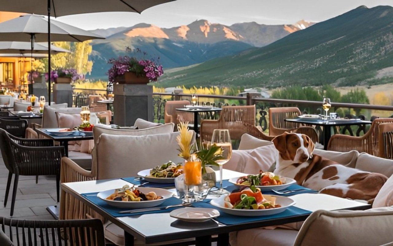Pet-Friendly Restaurants in Aspen: Where to Dine With Your Furry Friend