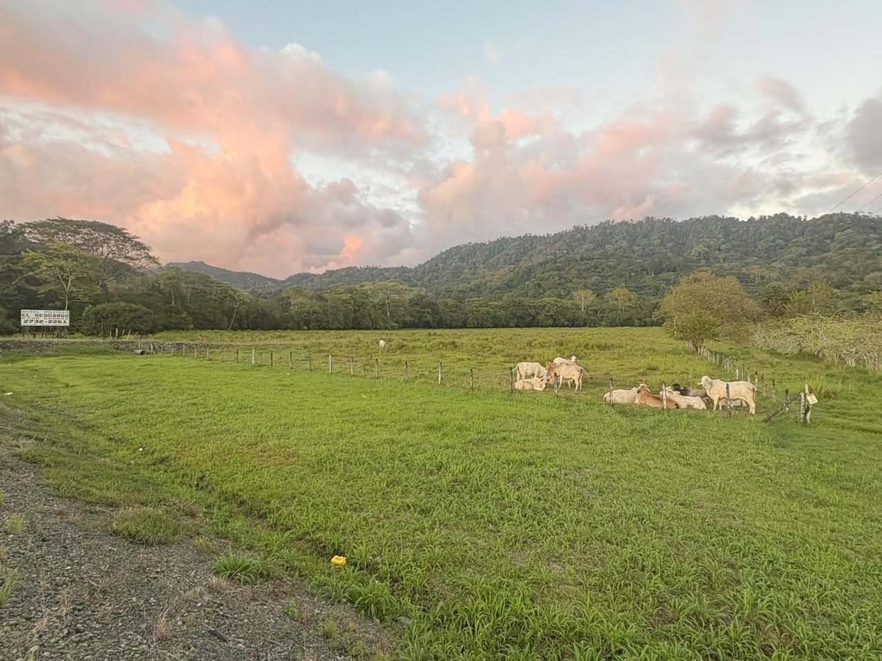 Highway Frontage Commercial Land, Manuel Antonio, Puntarenas