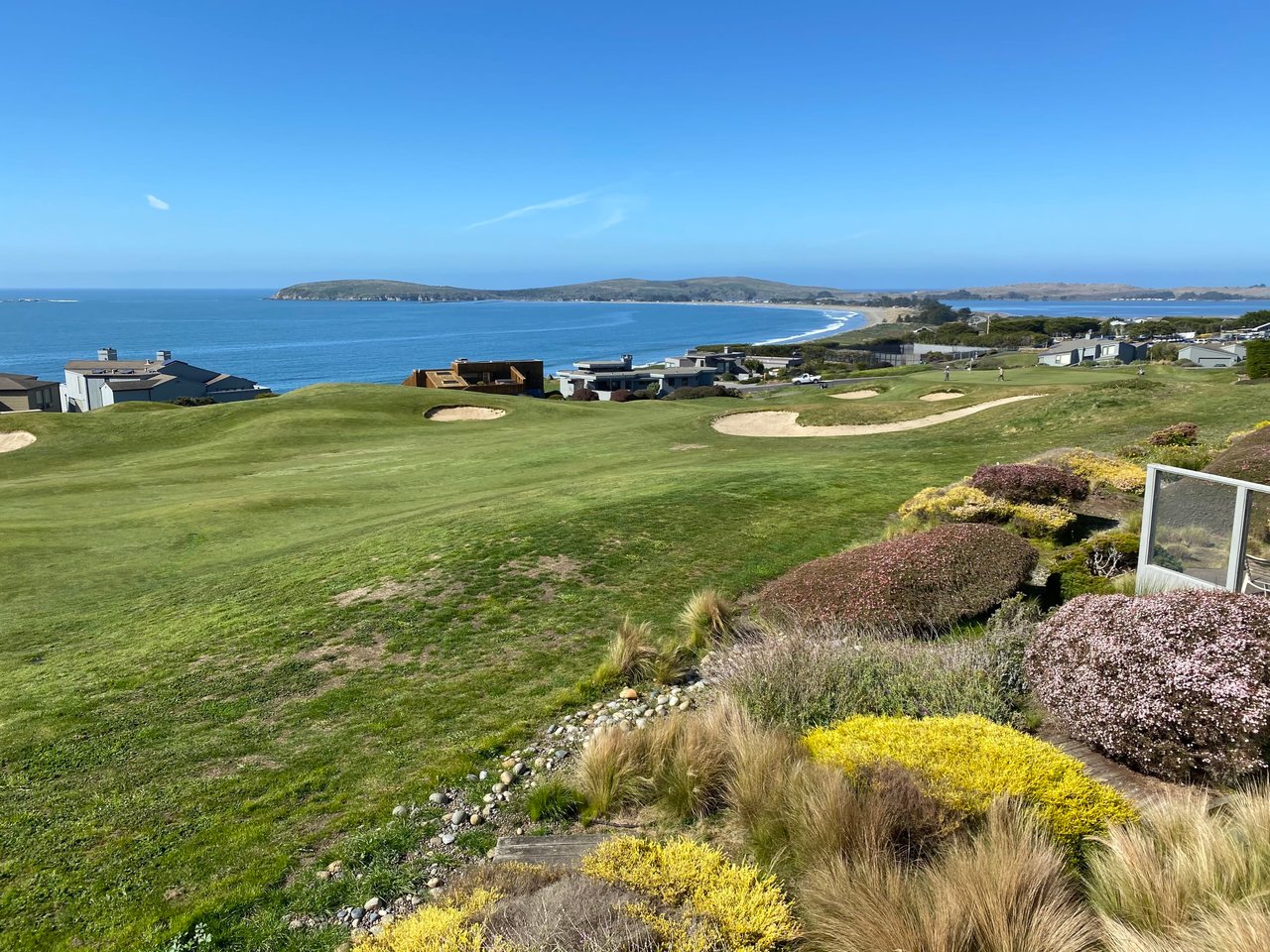 Bodega Bay