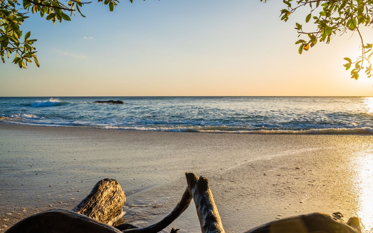 Playa Langosta