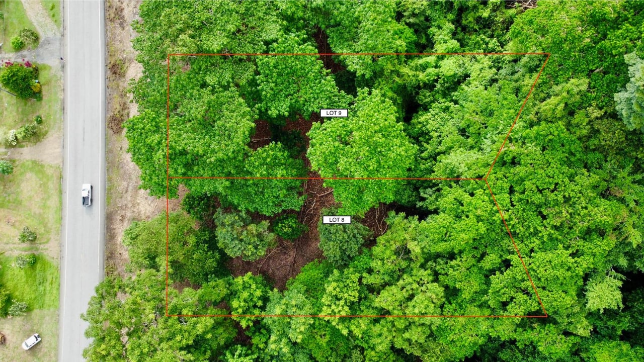 Flat Commercial Development Lot, Osa, Puntarenas
