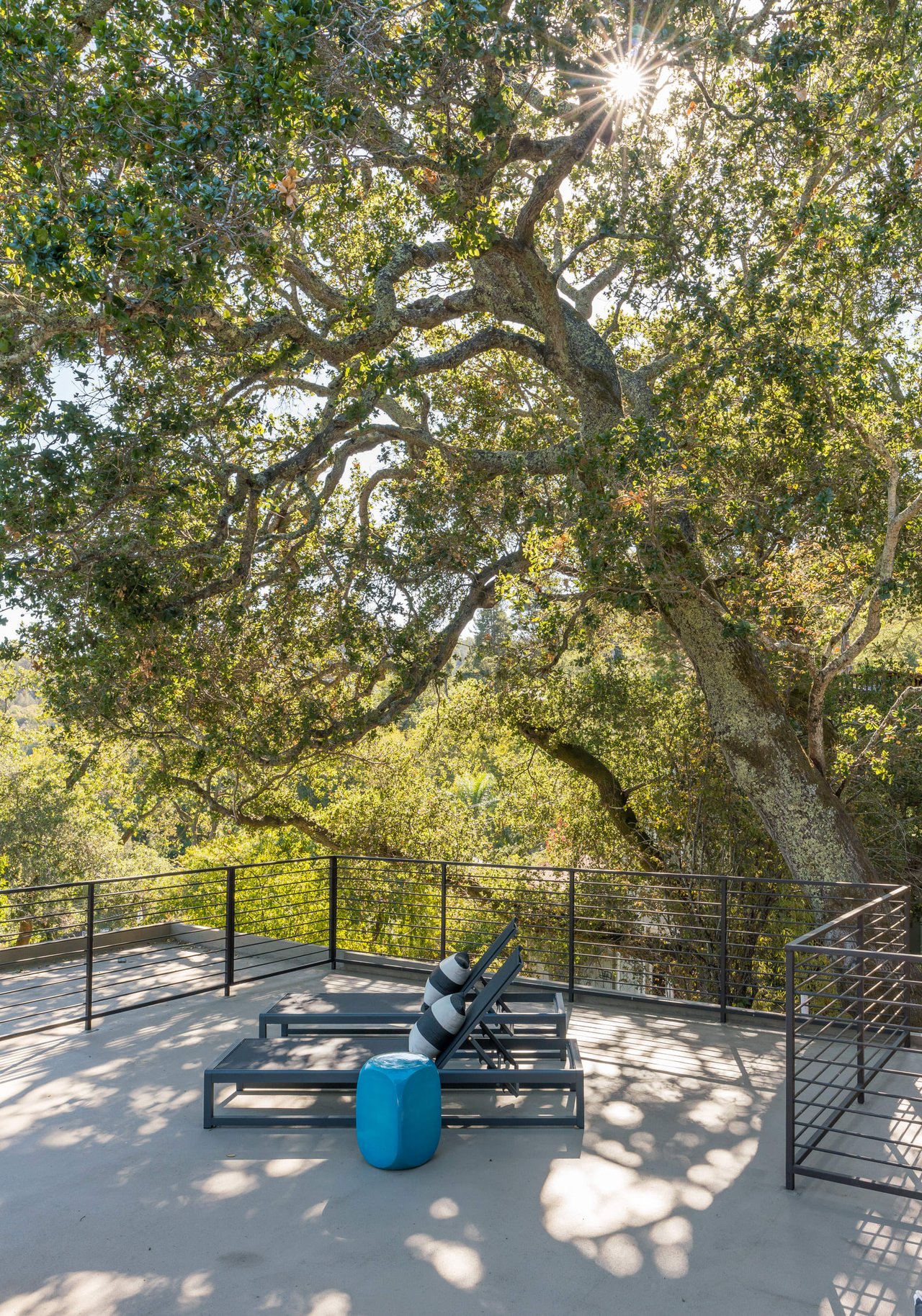 Modern Home with Organic Materials and Crisp Lines- Represented Buyer