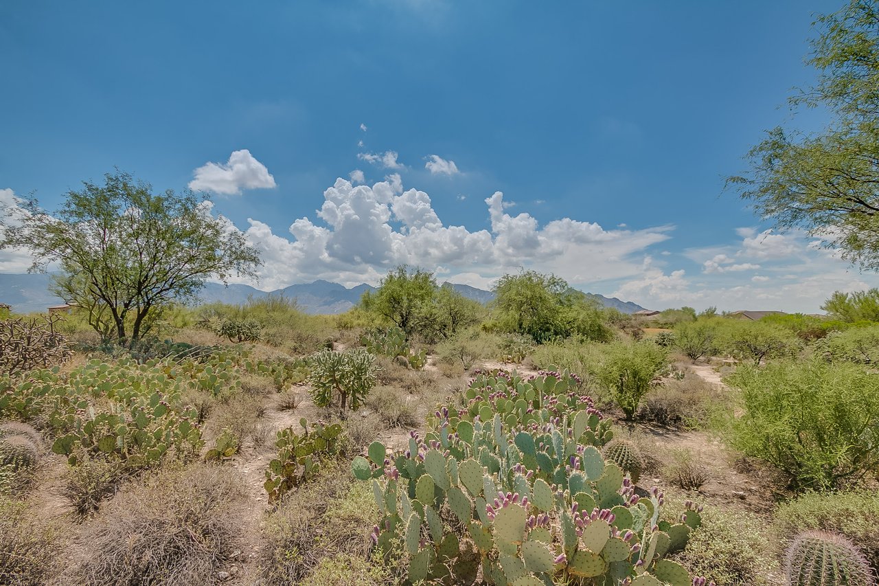 Incredible, Unobstructed Catalina Mountain Views
