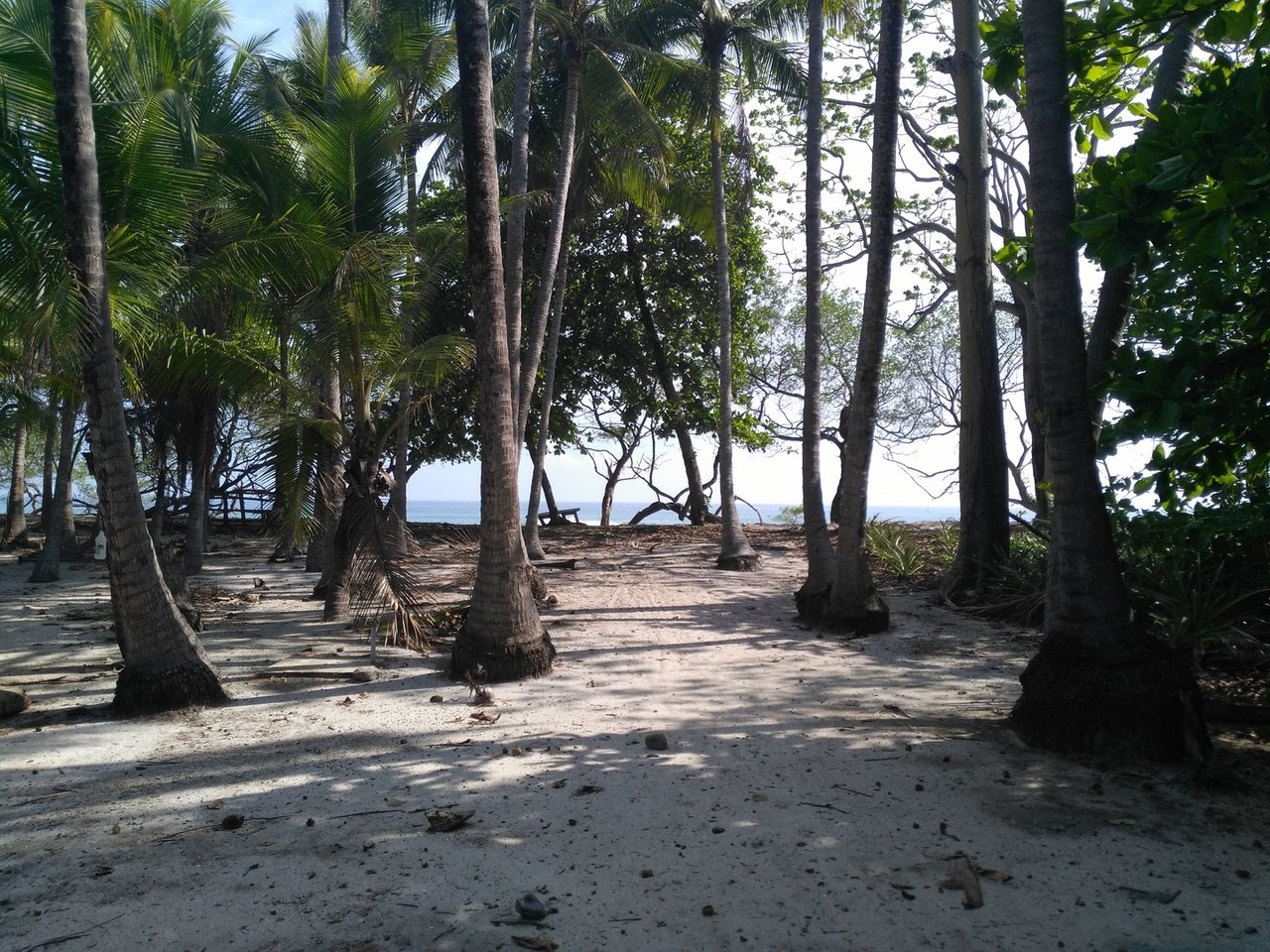Private Secluded Beachfront Lot, Santa Teresa, Puntarenas