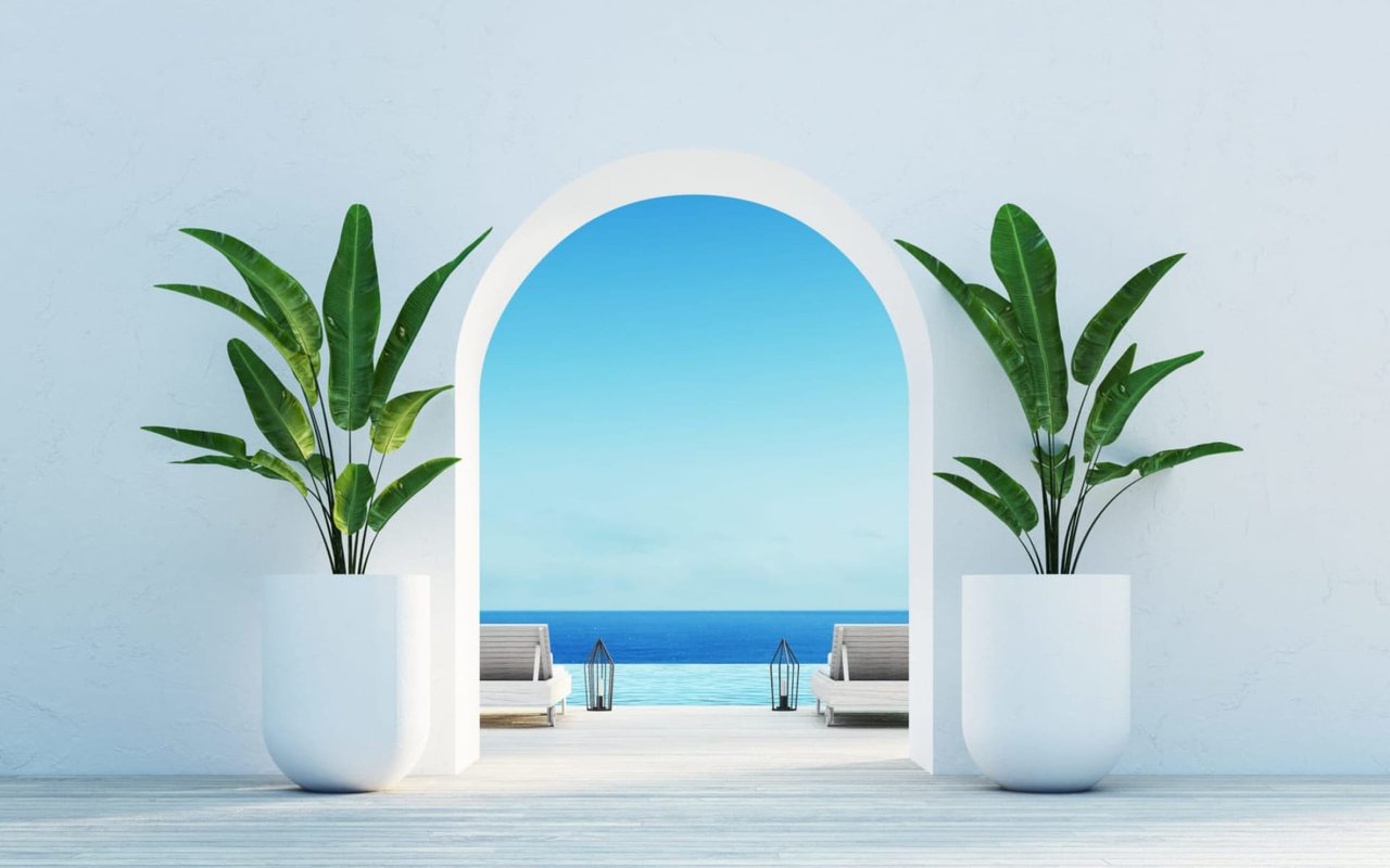 A minimalist scene featuring a white arched doorway framed by two large potted plants. 