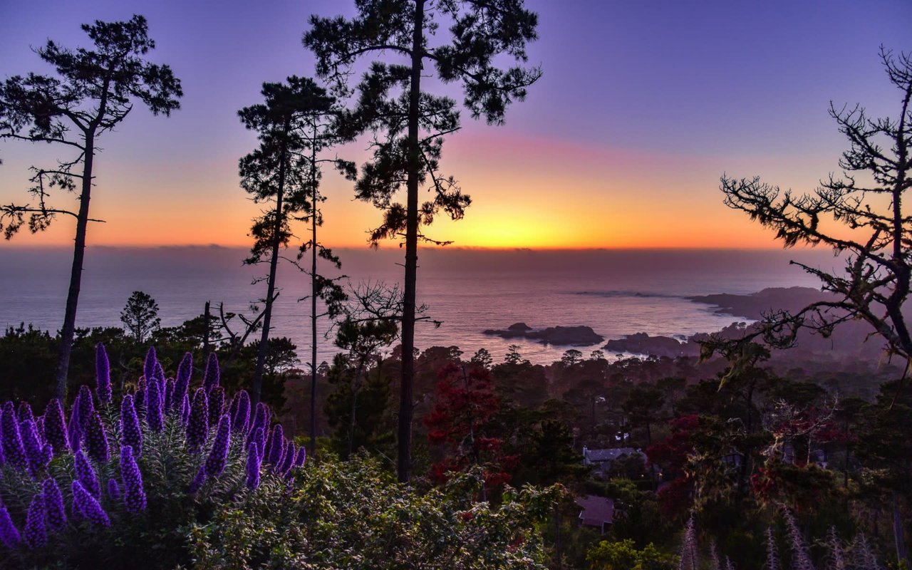 Carmel Highlands