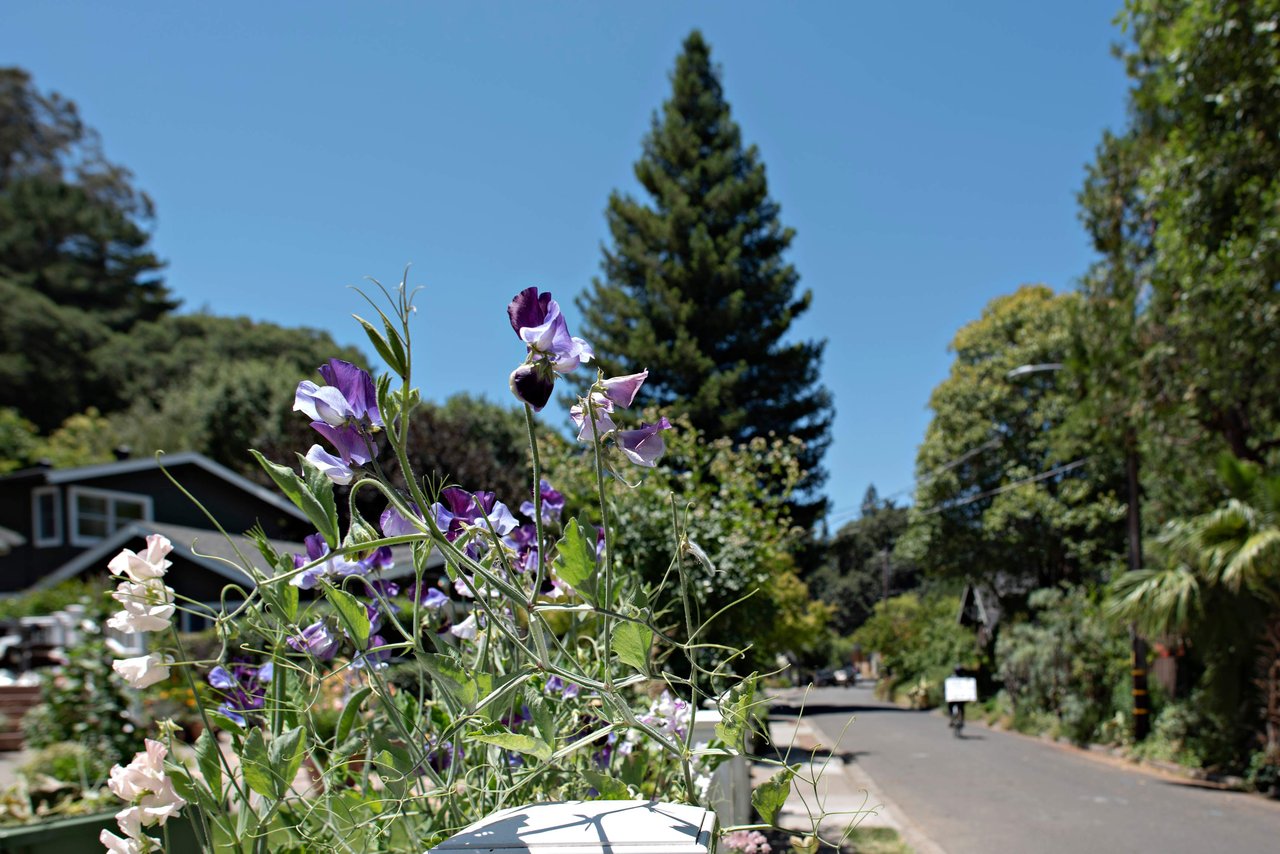 San Anselmo