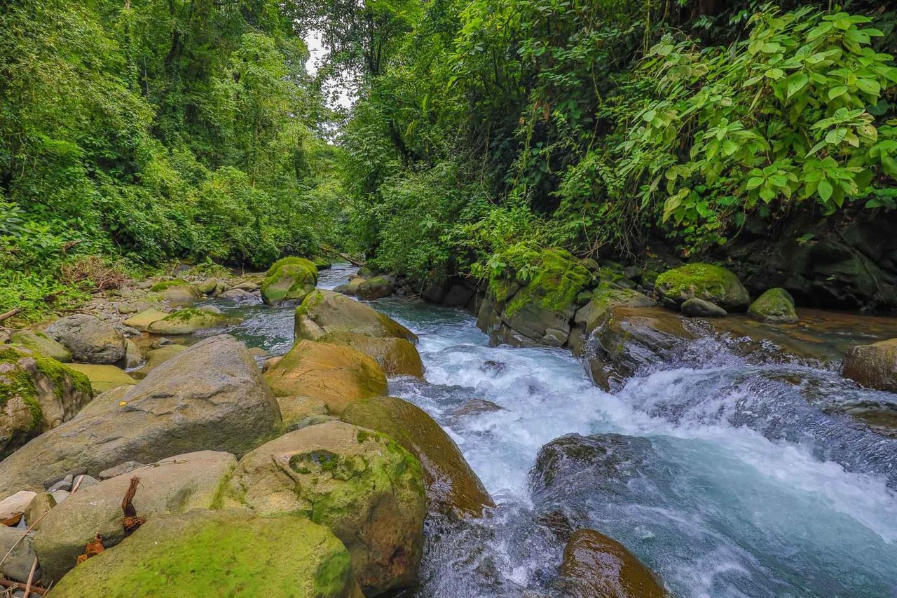 16.5 Acre, First Ridge, Fantastic Ocean Views, Private Swimming Holes