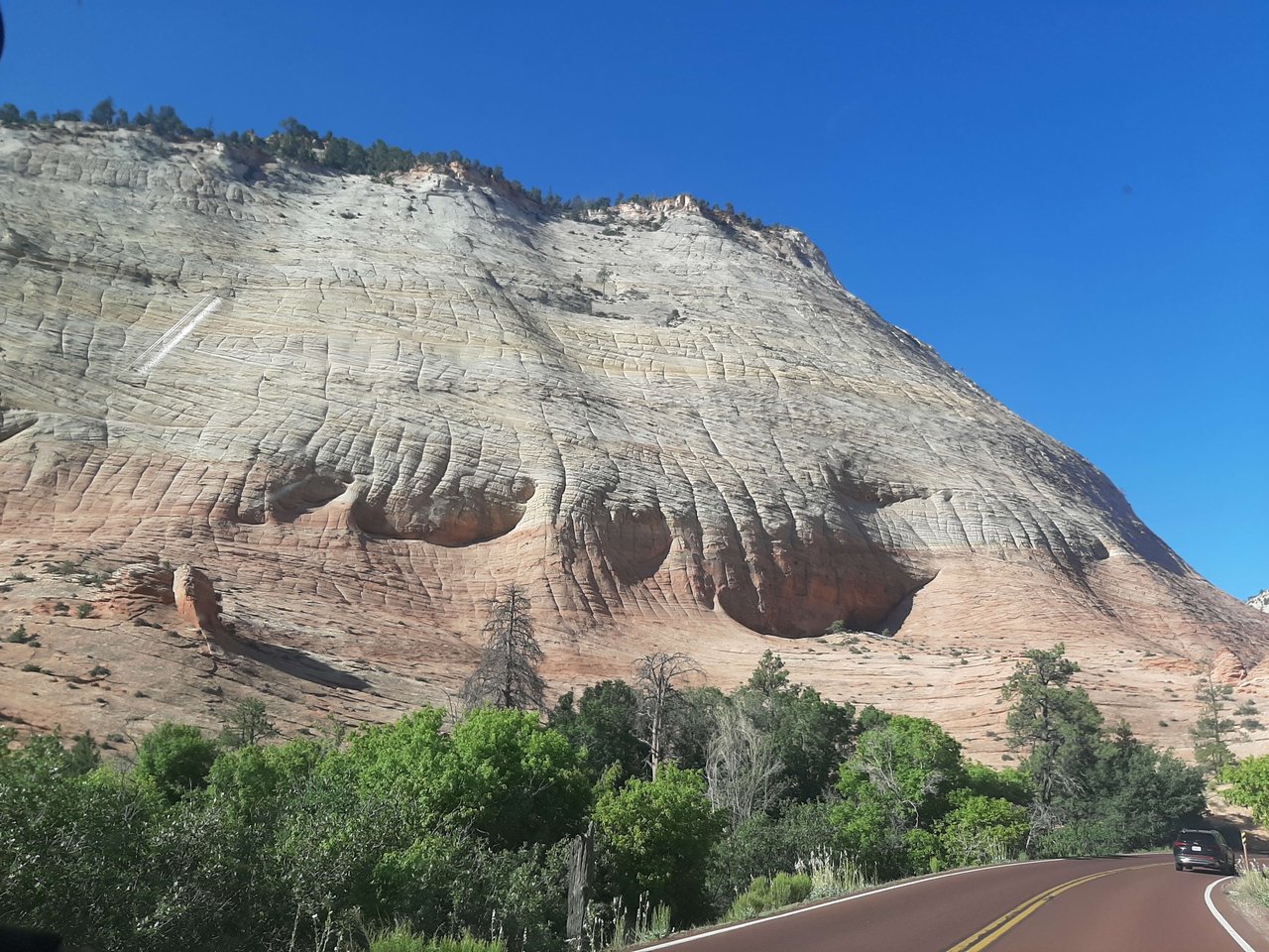 National Parks Trip with Ella and Herc