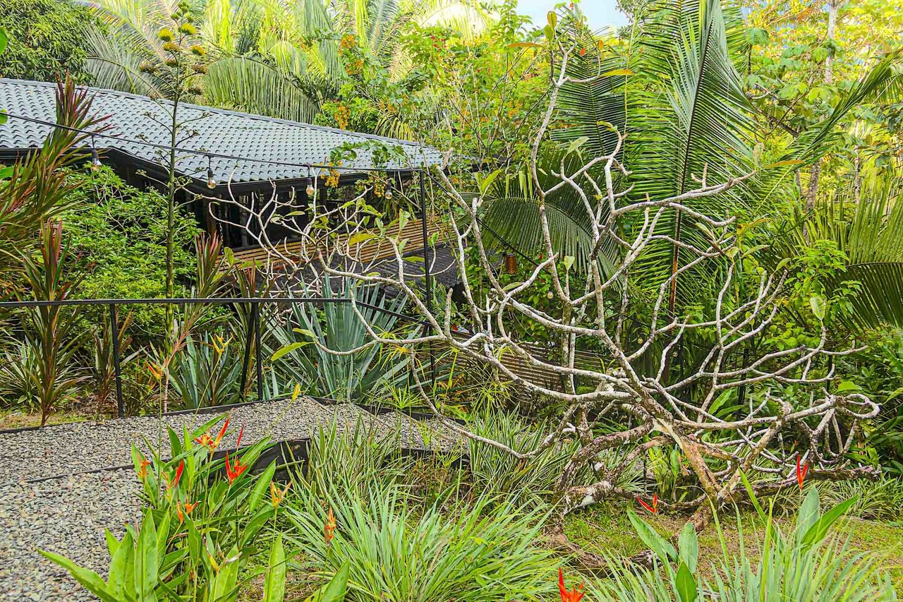 Multi Residence Jungle Compound, Manuel Antonio, Puntarenas