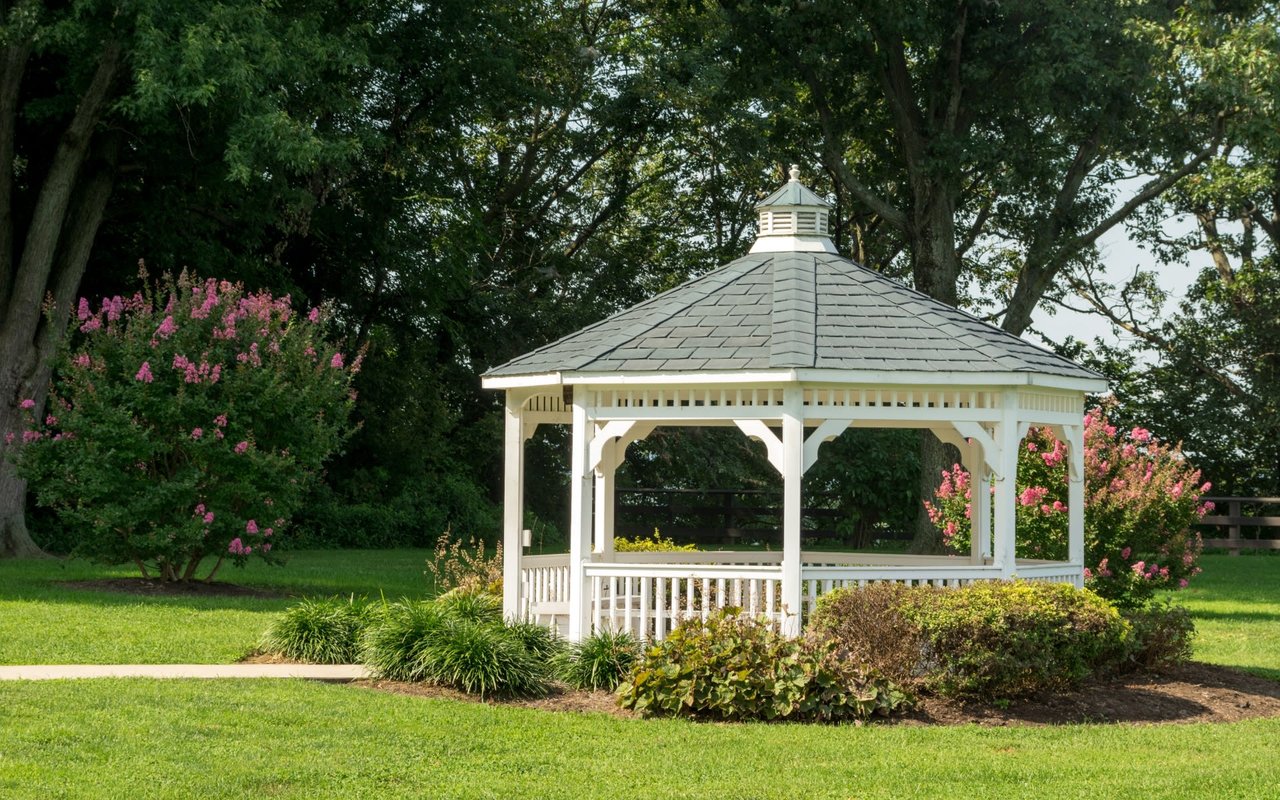 College Football on the Jumbotron!