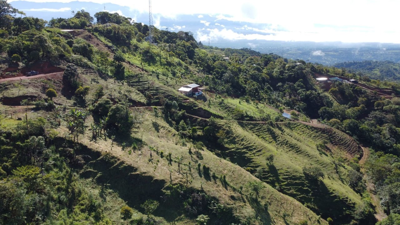 Sustainable Organic Farmstead, Perez Zeledon, San Jose