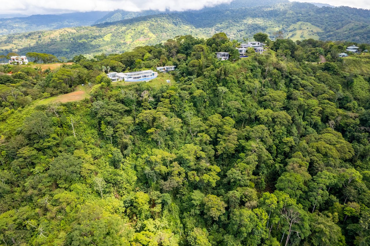 Iconic Whales Tail View in Premium Gated Community