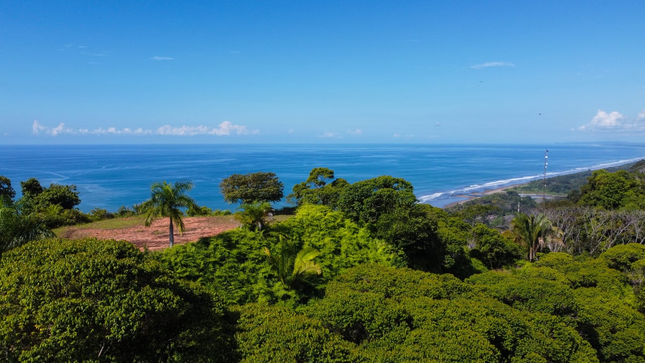 MANGO MANOR RIDGE PREMIER OCEAN VIEW PROPERTY IN DOMINICAL