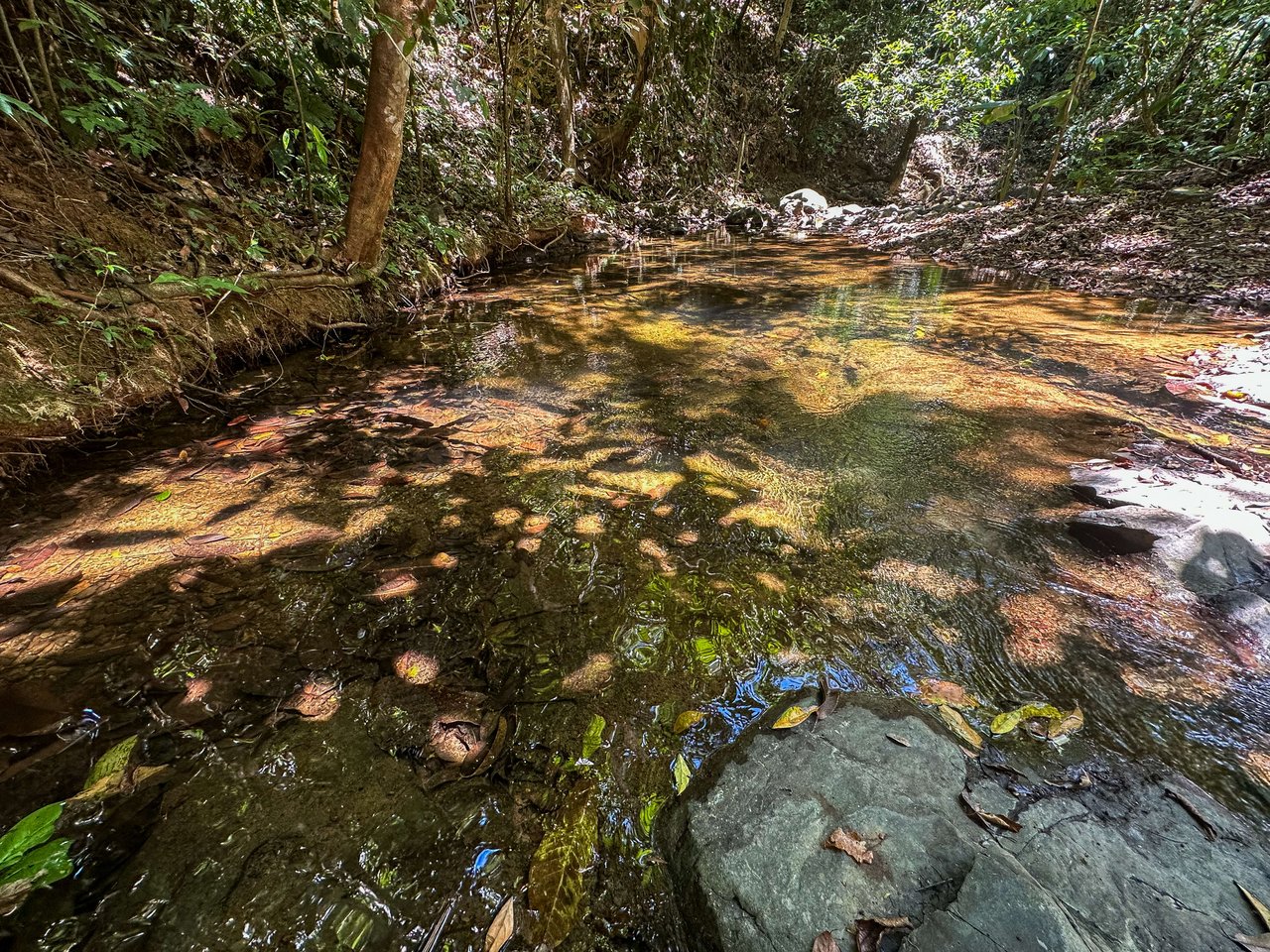 An elevated, prepared river lot with 360-degree ocean, mountain, valley and jungle views