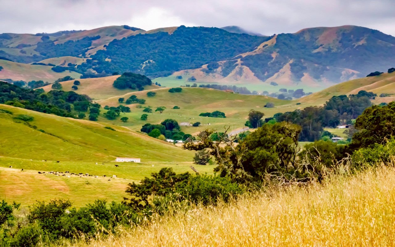 Petaluma