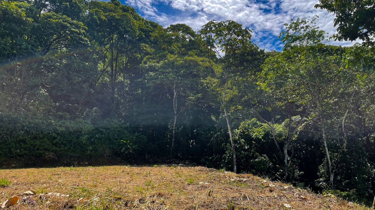 Panoramic Ocean View Lot, Dominical, Puntarenas