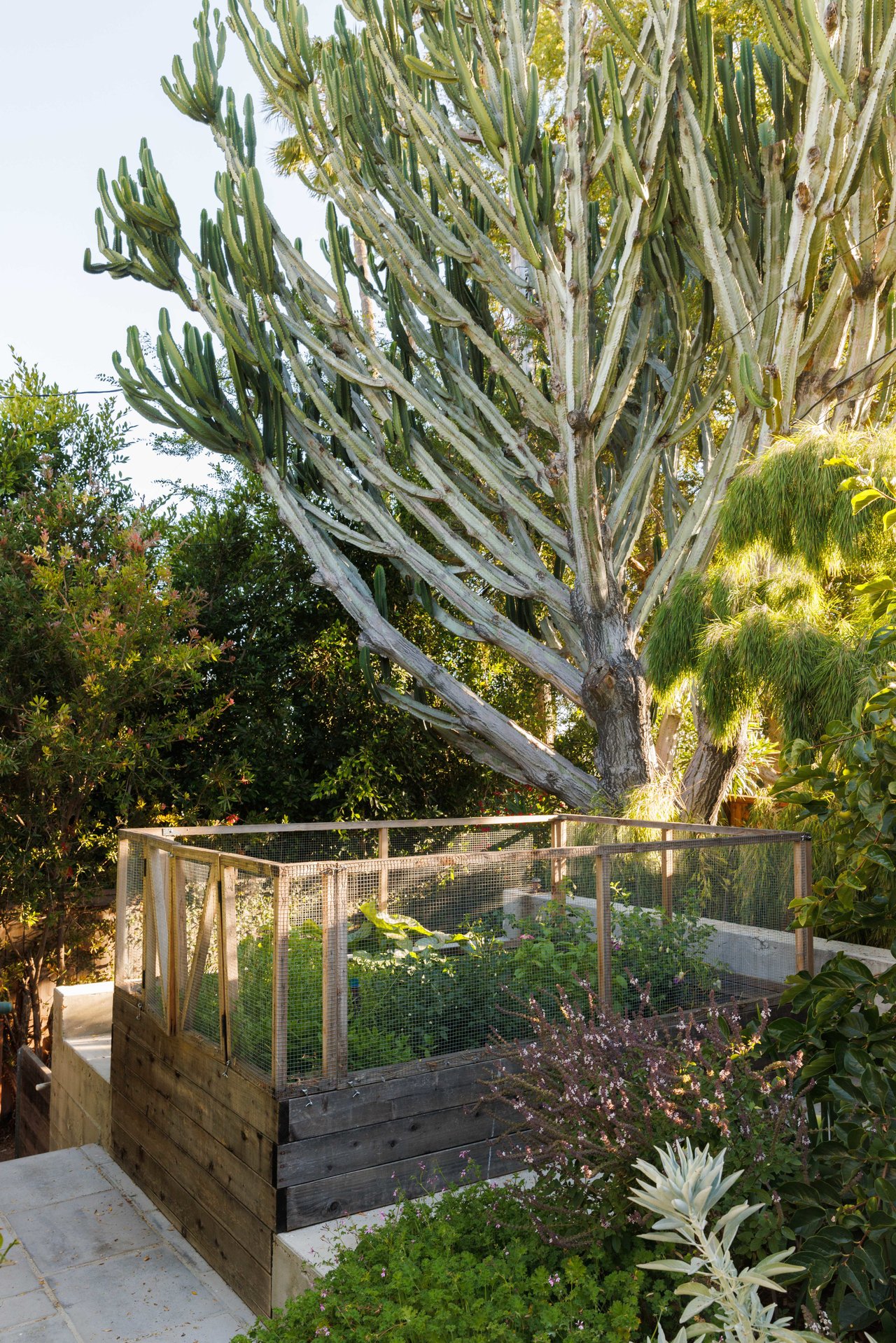 A Magically Transportive Home in Los Feliz