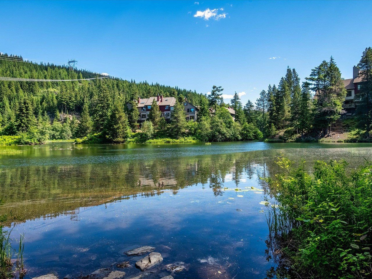 G103-1400 Alta Lake Rd