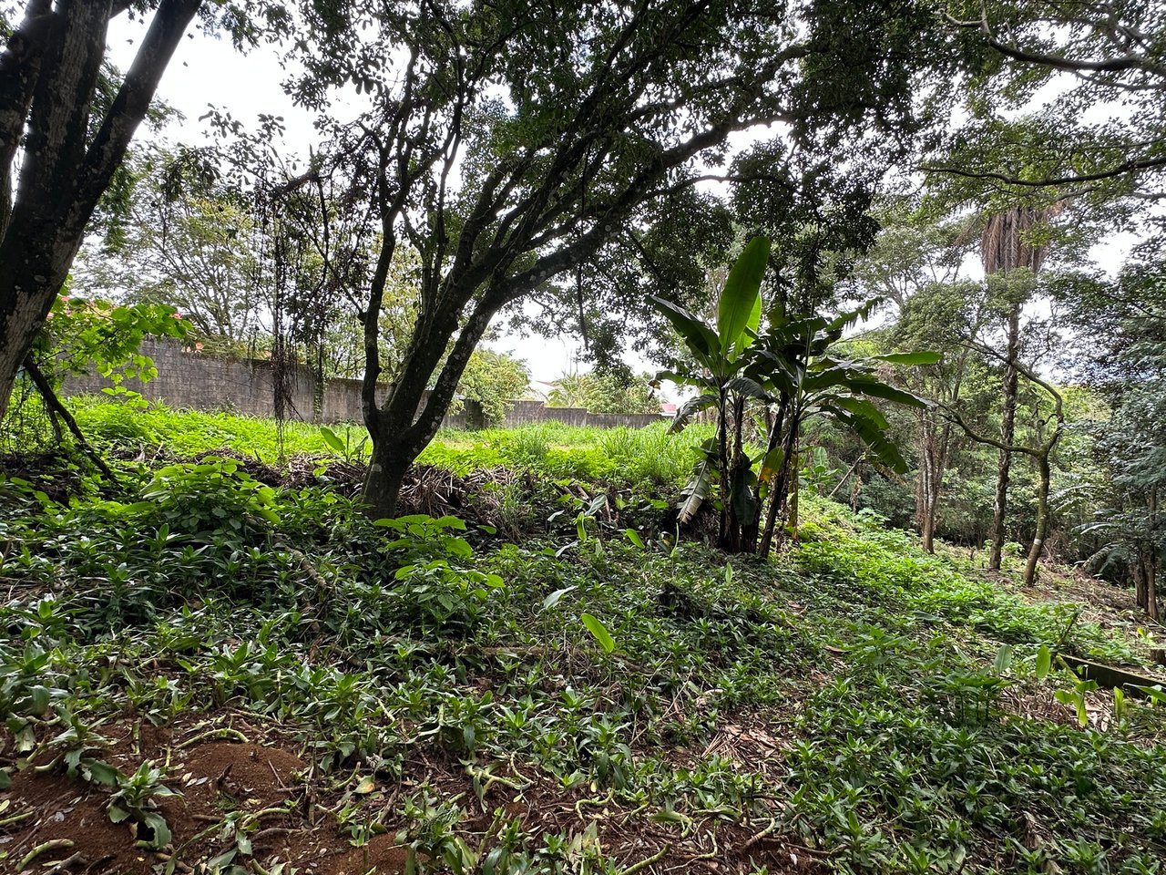 Lush Butterfly Garden Building Lot, Heredia
