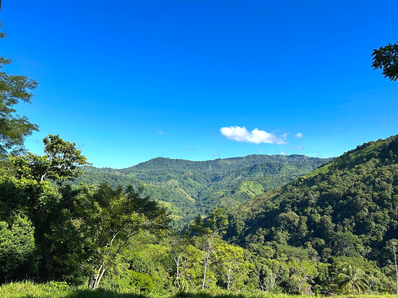 Over 123 Acres Farm in San Josecito De Morete, in Uvita Mountains