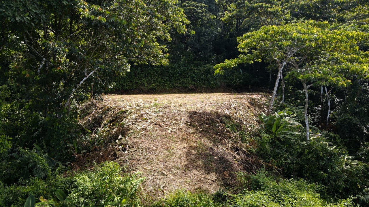 Panoramic Ocean View Lot, Dominical, Puntarenas
