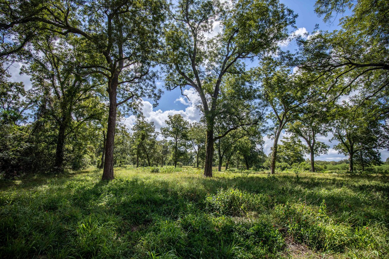 Lovers Lane River Ranch | 140± Acres | DeWitt County
