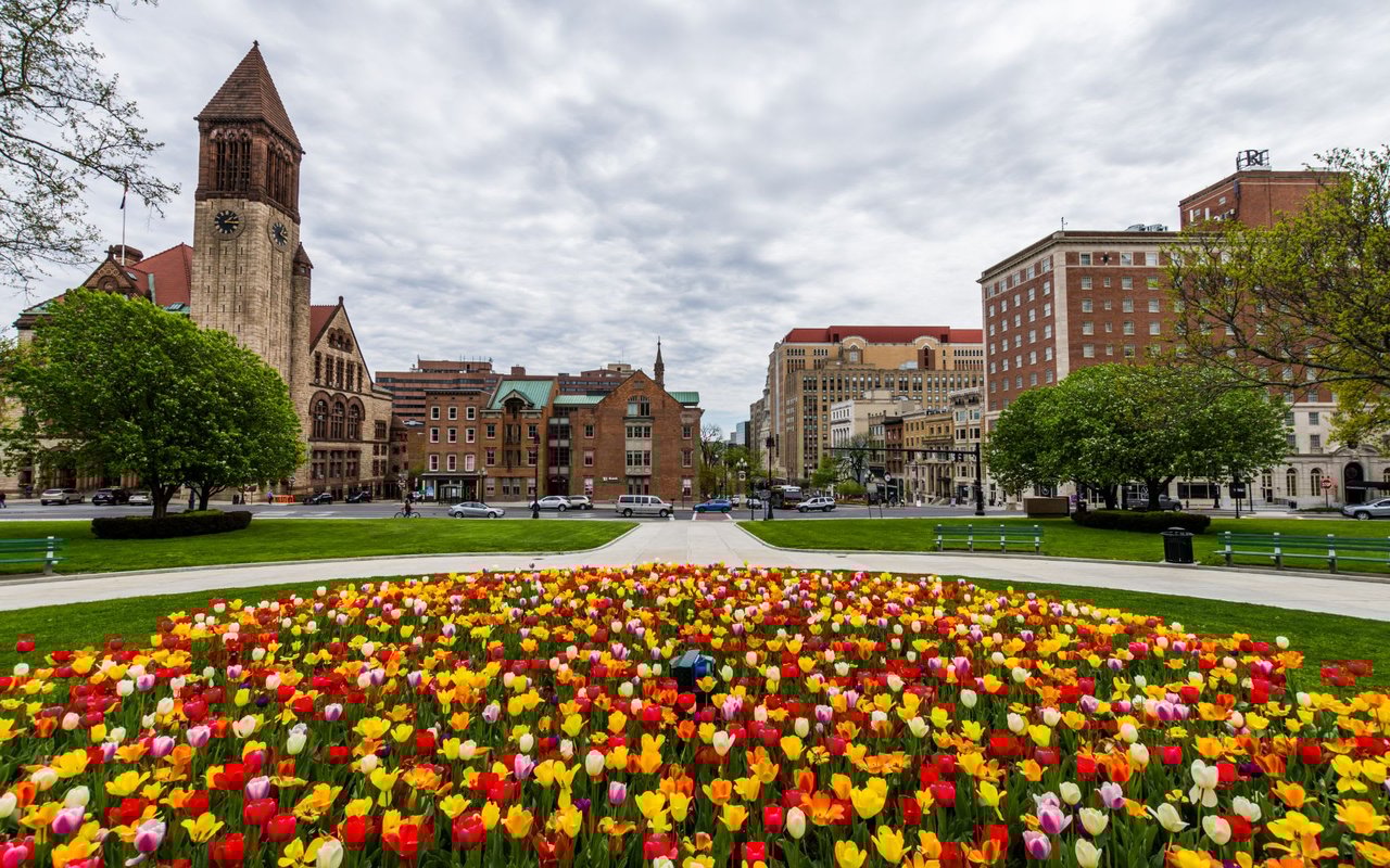 Albany