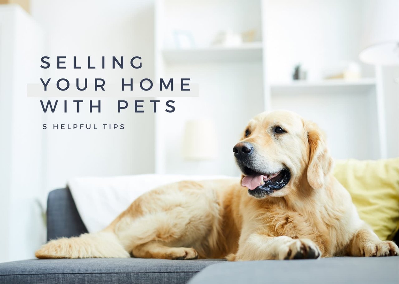 5 Tips for Selling Your Home With Pets