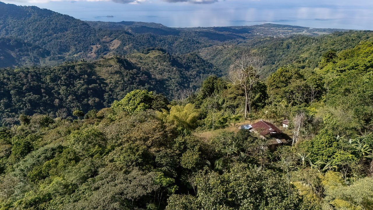 Off Grid Farm  at the top of the Uvita mountain range