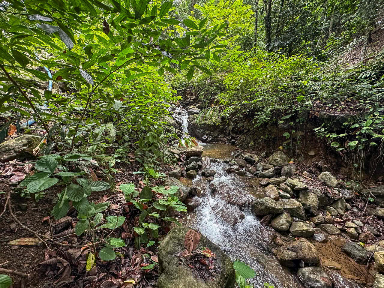 Prime 9.4-Acre Ocean View Land in Golfito